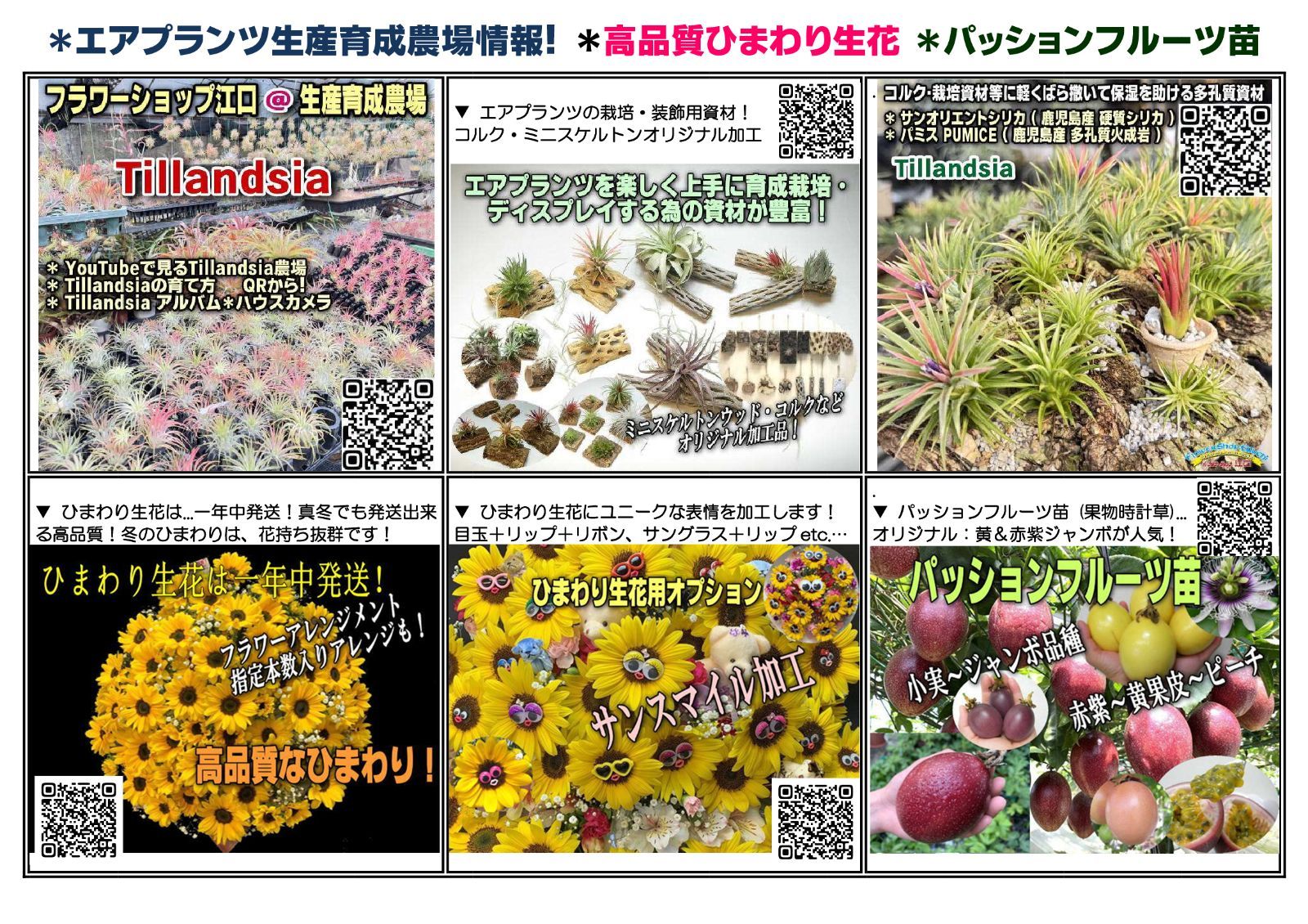 ＊家庭菜園