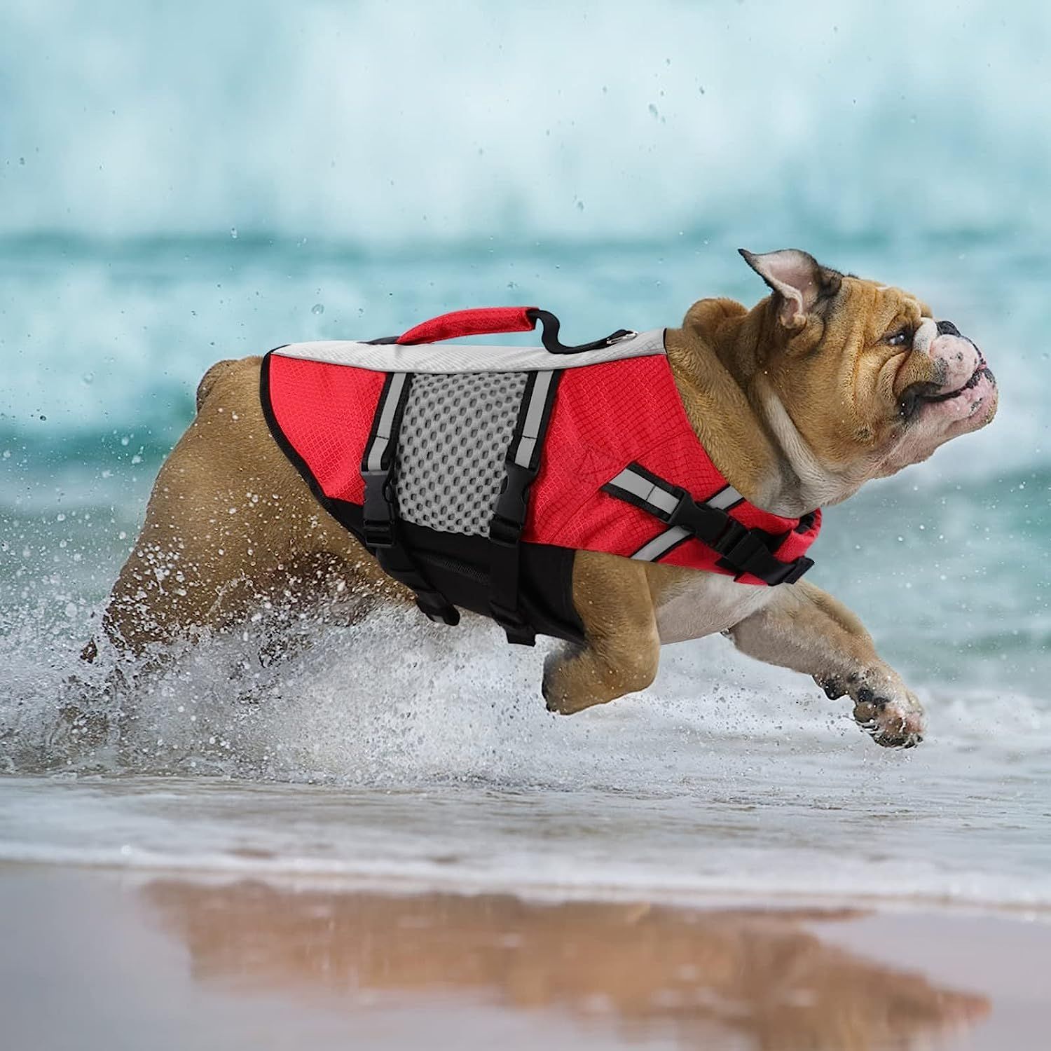 特価セール】救命胴衣 ライフジャケット 小型 中型 犬 セーフティ