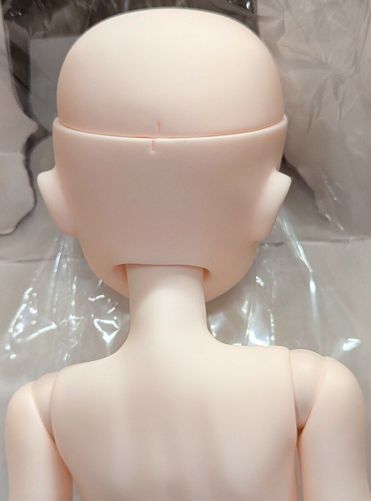 kitten. しろねこver