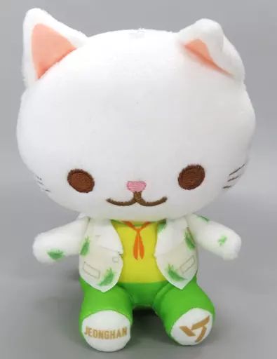 中古】ぬいぐるみ ジョンハン ANIMAL COORDY ミニぬいぐるみ～SECTOR17