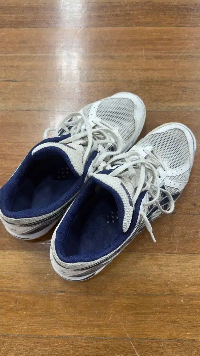 アシックス ローテリブレ 275 体大受験 バドミントン等