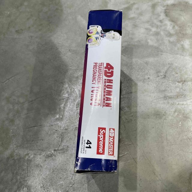 Supreme 18aw Male and Female Anatomy Model 