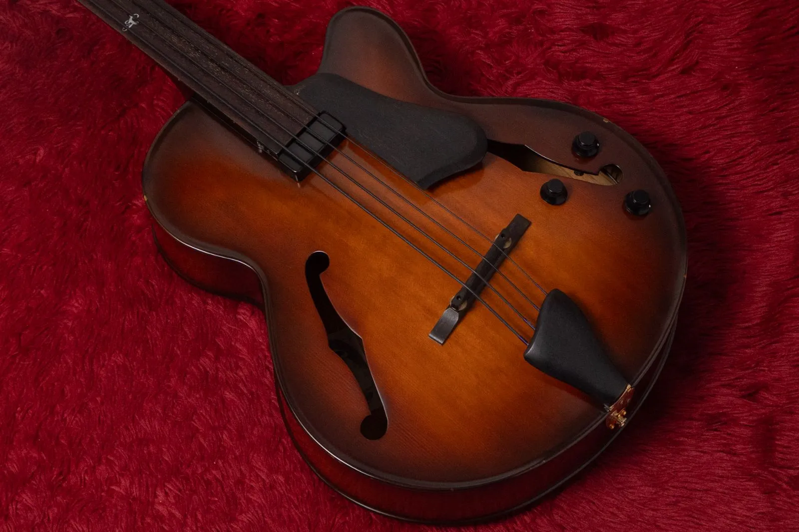 2025年最新】5弦 アコースティックベースの人気アイテム - メルカリ