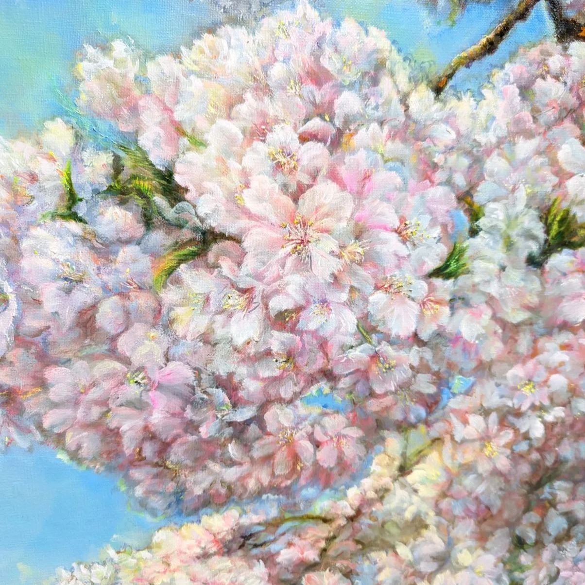河津桜 painterTMK 真筆画家本人出品 一点もの 風景画 油絵 桜風景画