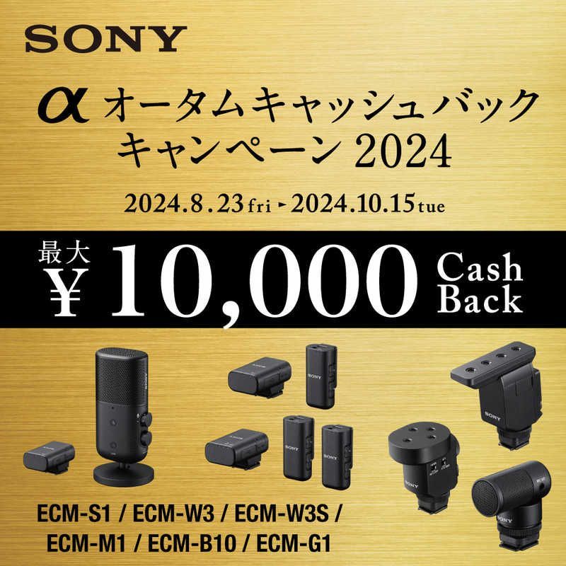 ソニー SONY