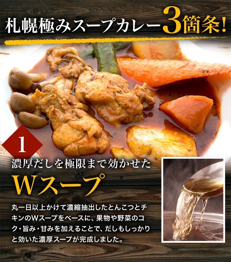 札幌極み スープカレー 選べる2食セット チキン 豚