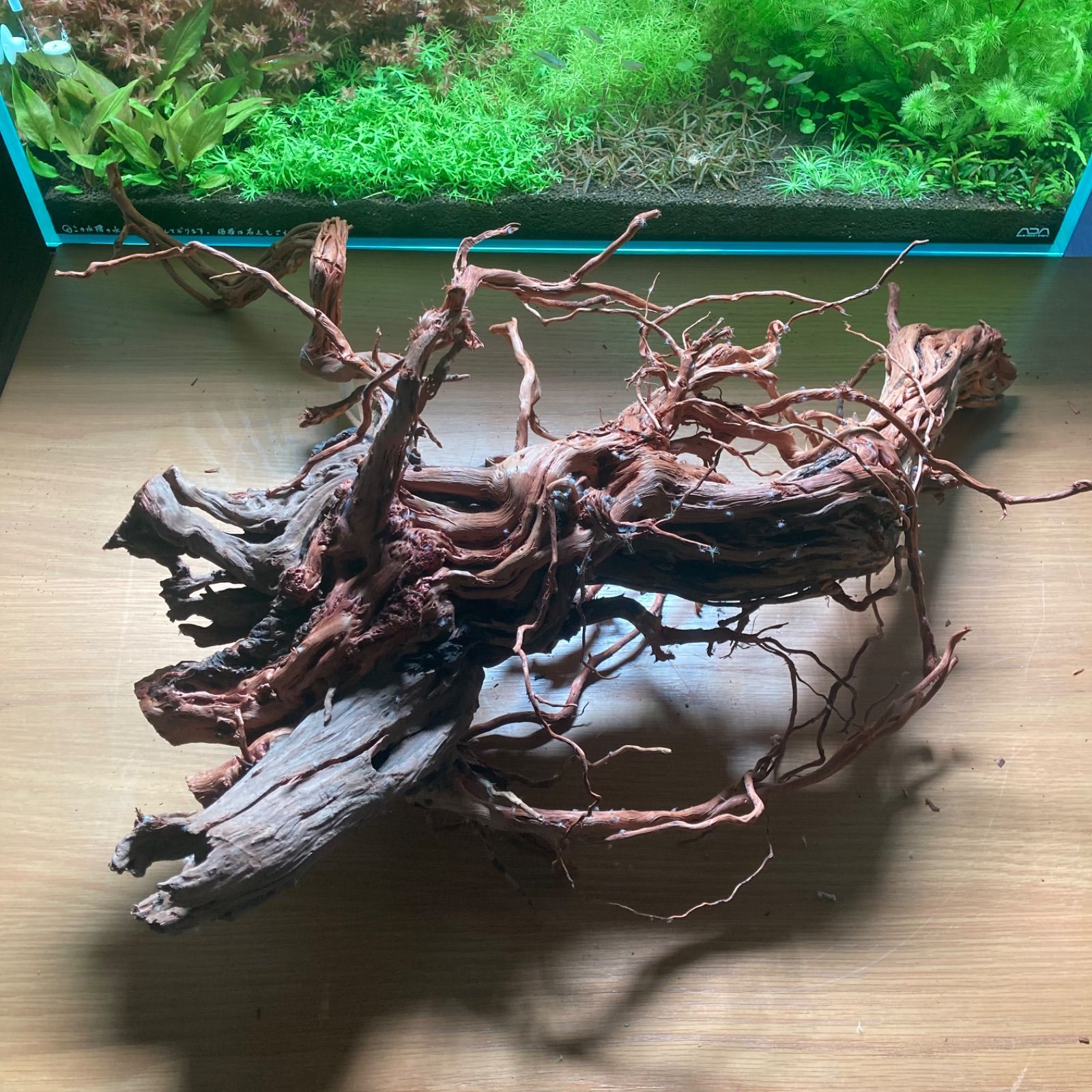 枝流木（024） - メルカリ