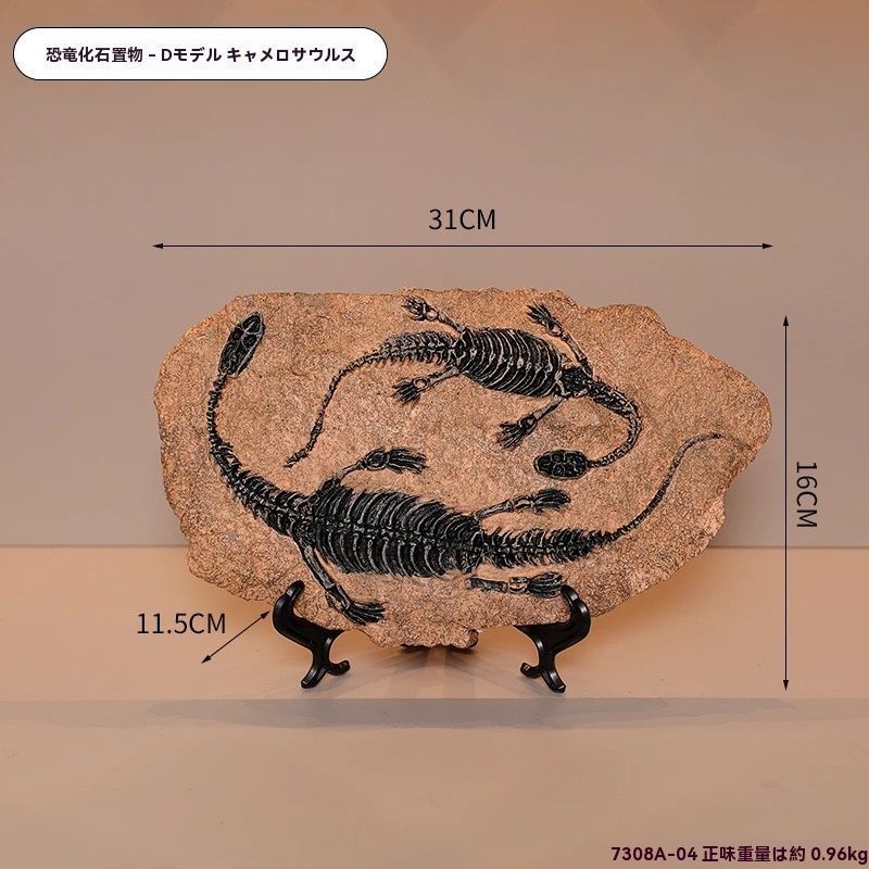 新品未使用恐竜の化石置物 高級インテリア標本 工芸品 オフィス装飾 小物