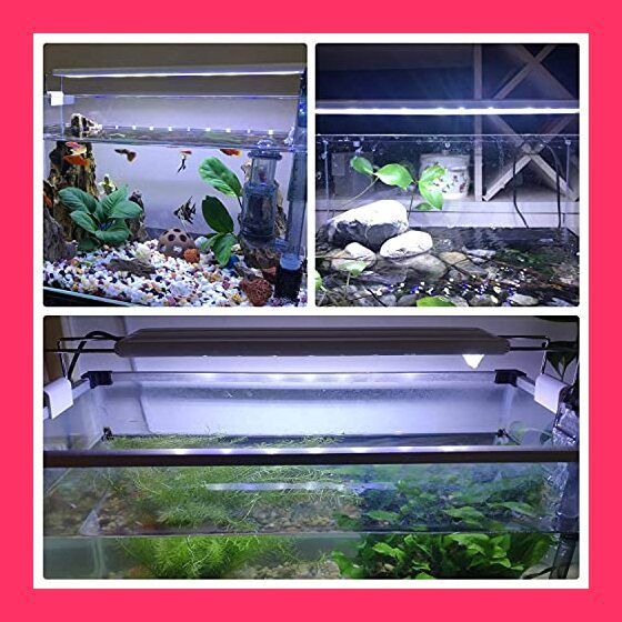 LEDGLE 水槽ライト ledアクアリウムライト 10W 39個LED 50*60cm対応 