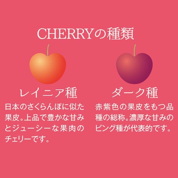 フルーツ 人気