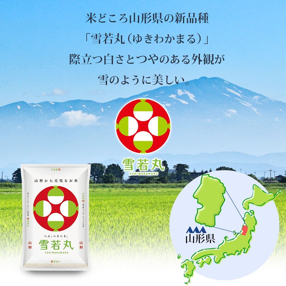山形県産 令和6年産