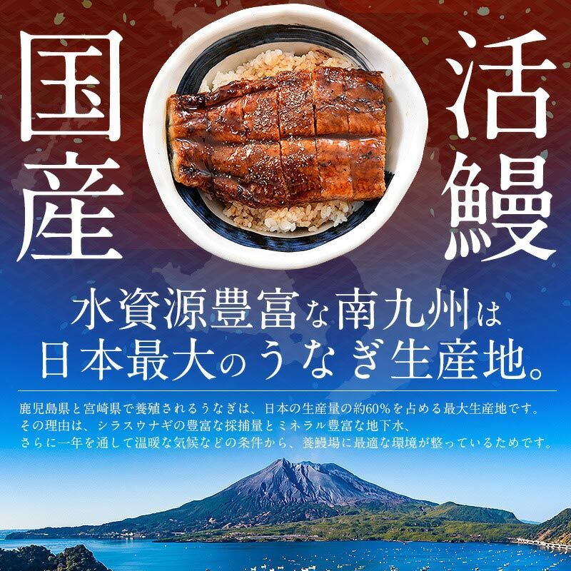 ウナギ蒲焼き