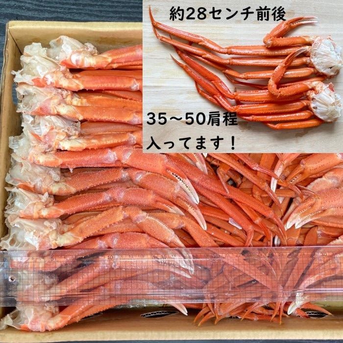 紅ズワイガニ肩Sサイズ
