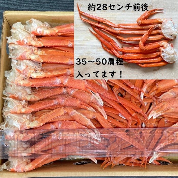 【北海道産】訳あり　紅ズワイガニ足折れSサイズ　B品　1Kg　冷凍