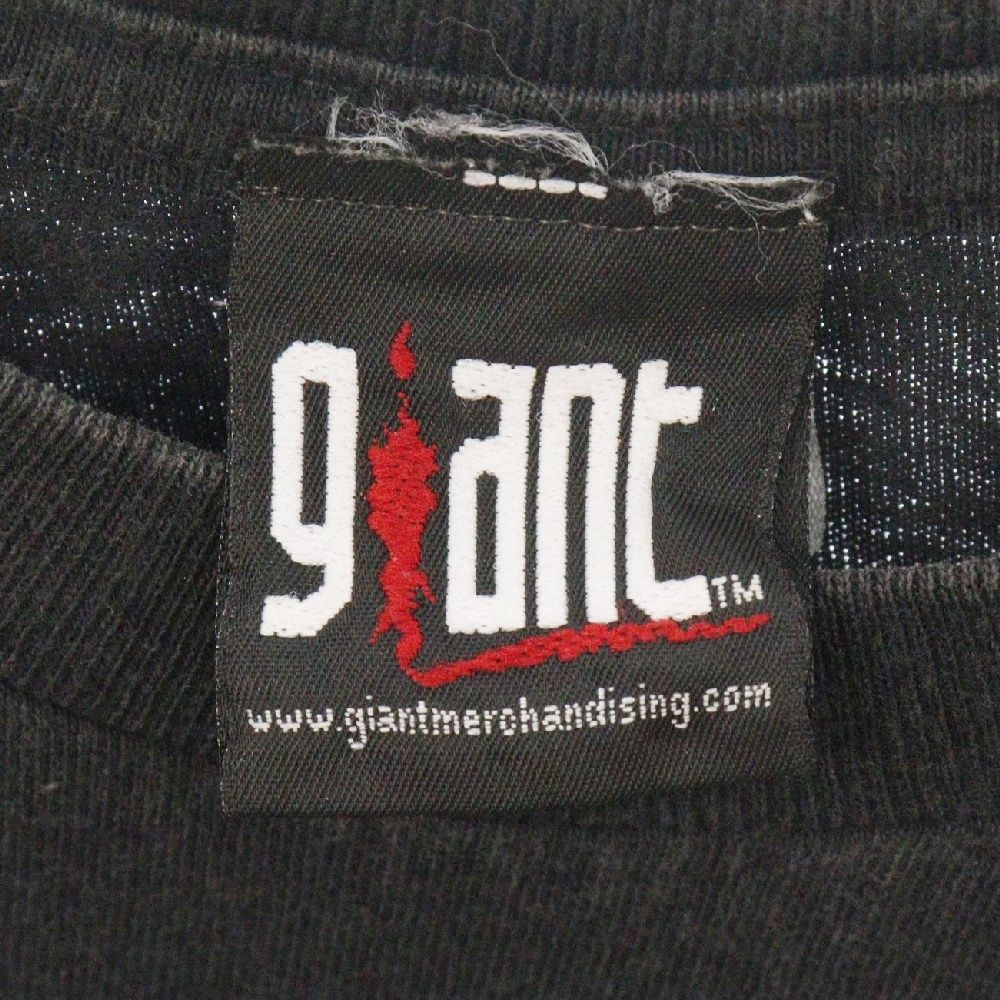VINTAGE (ヴィンテージ) 00s P.O.D PAYABLE ON DEATH TEE ピー