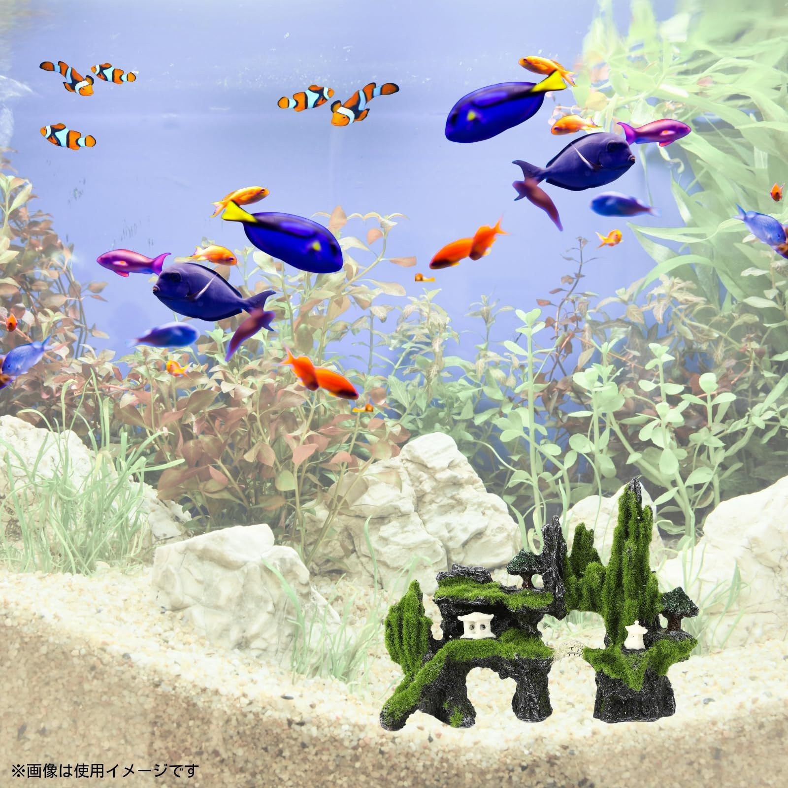 熱帯魚　アクアリウム　シェルター 61Hp1+eSfvL._UF894,1000_QL80_.jpg