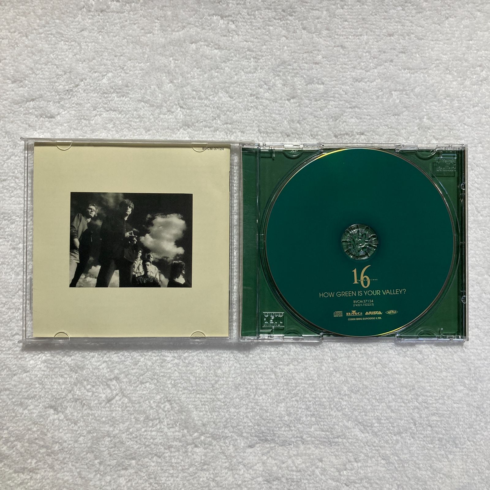 【中古】 ハウ・グリーン・イズ・ユア・ヴァレー/ＣＤ/BVCM-37124 CD】16タンバリンズ 16 Tanbourines / ハウ・グリーン・イズ