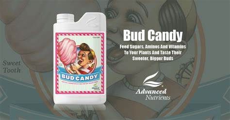 Bud