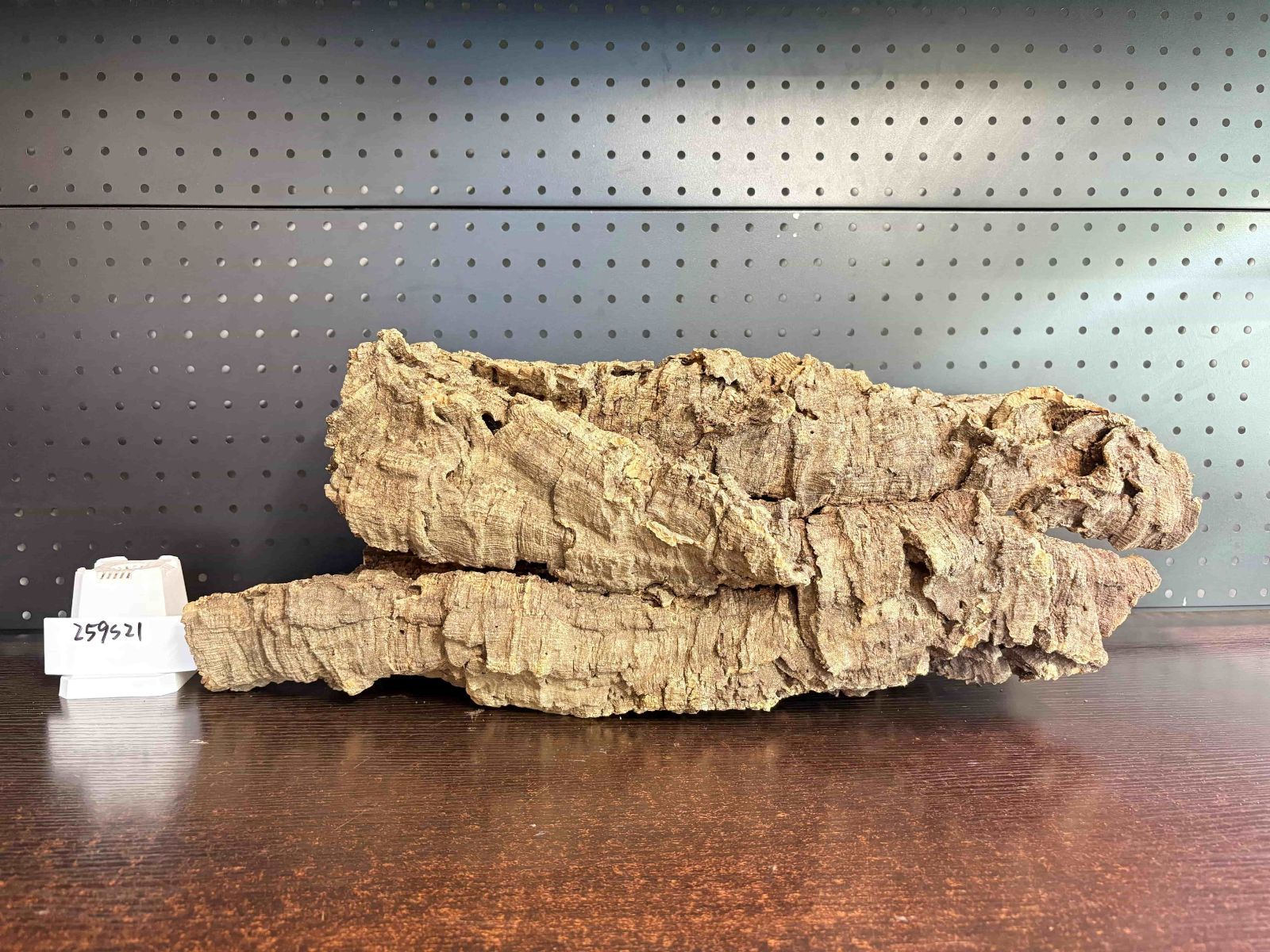 259S21 ポルトガル産 キャノンコルク コルク樹皮 コルク板 バージンコルク 送料無料 チランジア ビカクシダ 着生ラン 両生類 爬虫類 YUZUMIYA_COM