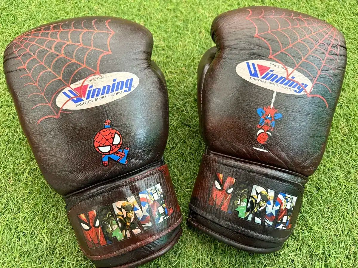 ウィニング Winning 8 ラウンド グローブ スパイダーマン 私の息子 何かが詰まった