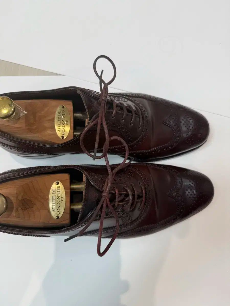 カルミナ コードバン ブラウン ウイングチップ uk 6 5