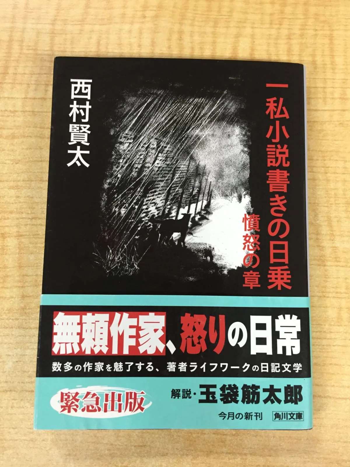 2025年最新】西村賢太 一私小説書きの日乗の人気アイテム - メルカリ