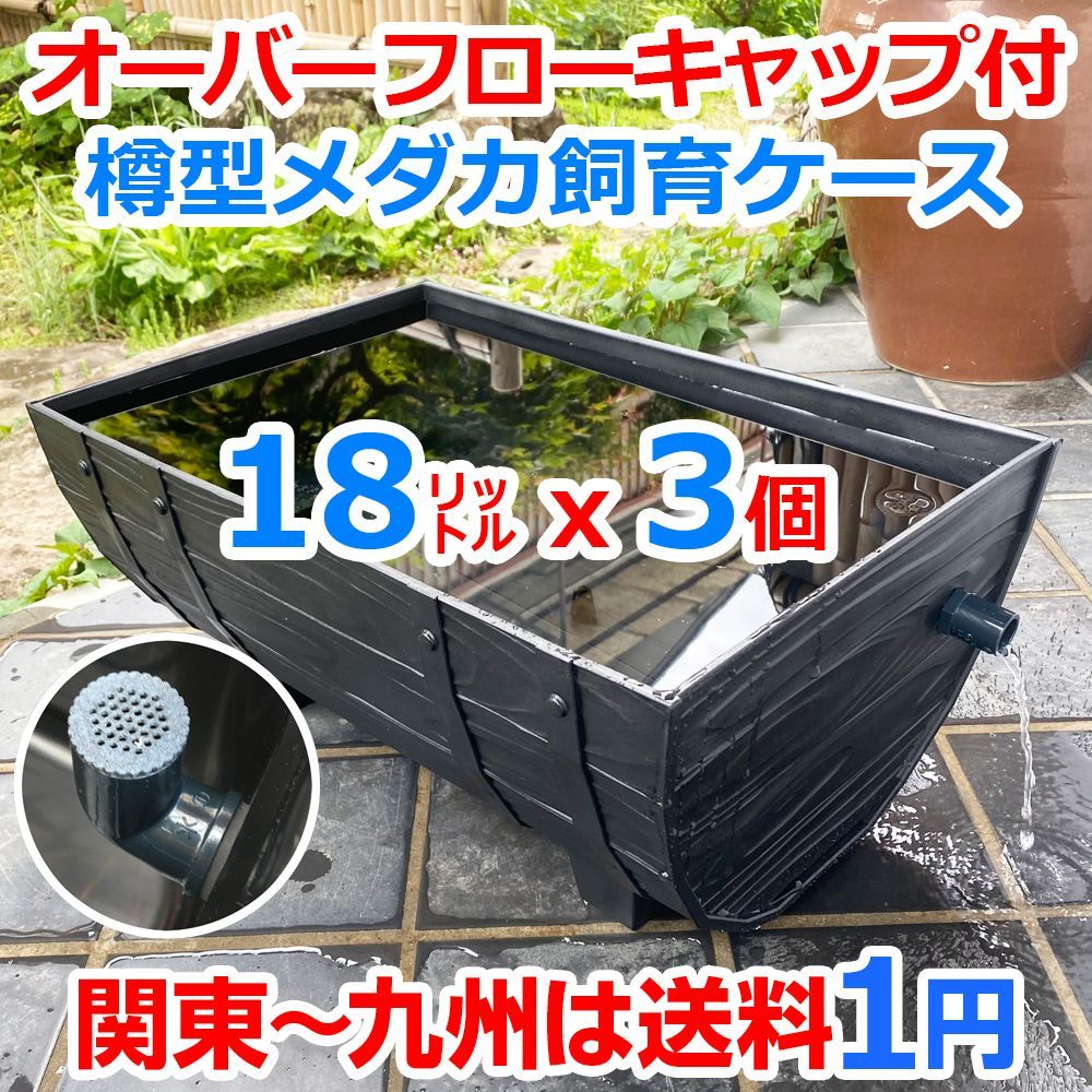 メダカ飼育ケース 樽型 大18㍑ 黒x3個 オーバーフローキャップ付 メダカ飼育容器 針子 産卵 大雨対策 めだか水槽 金魚屋外飼育容器 ビオトープ  睡蓮 約50cmx約33cmx約22cm 五色アクア - メルカリ