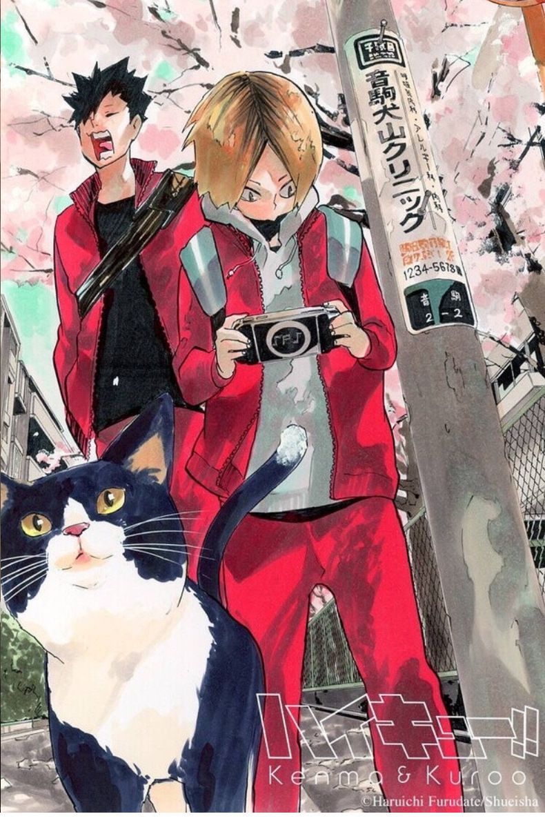 ハイキュー　音駒高校　ジャージ　上下　ドンキ　トラックジャケット　パンツ　L　❶ ハイキュー 音駒高校 ジャージ 上下 ドンキ トラックジャケット