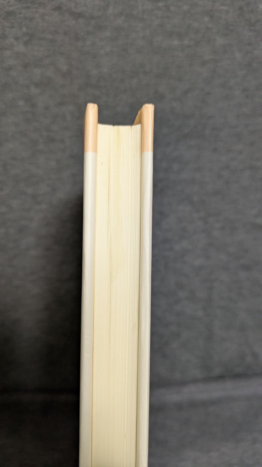 表現の意味分析