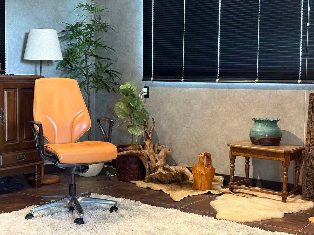 ②ジロフレックス 64 giroflex デスクチェアミッドセンチュリー IN