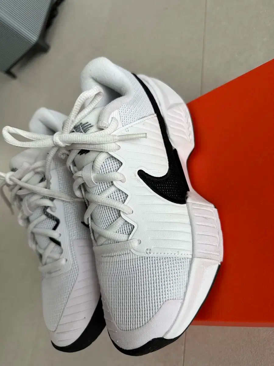 ナイキ レディース テニスシューズ ズーム GP チャレンジ プロ 235 LLC-HASEGAWATOSO_COM