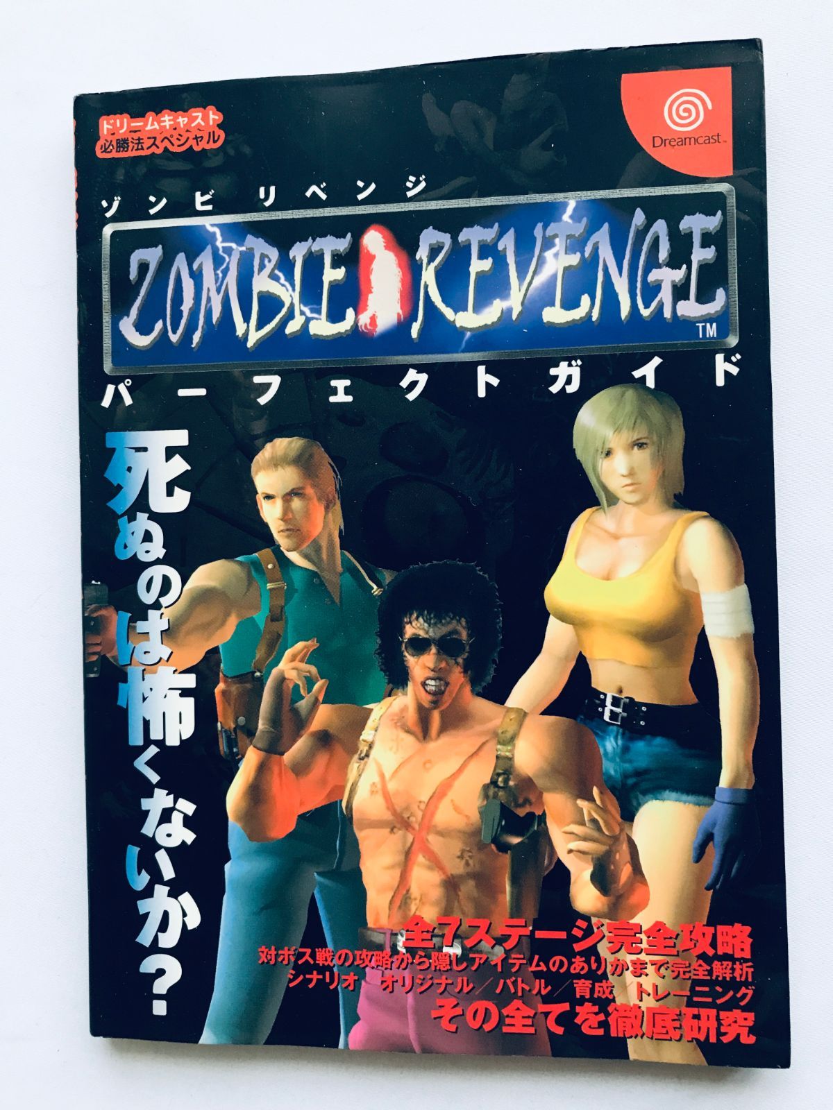 ゾンビリベンジ ＋パーフェクトガイドセット ゾンビリベンジ ドリームキャスト パーフェクトガイド 攻略本 DC