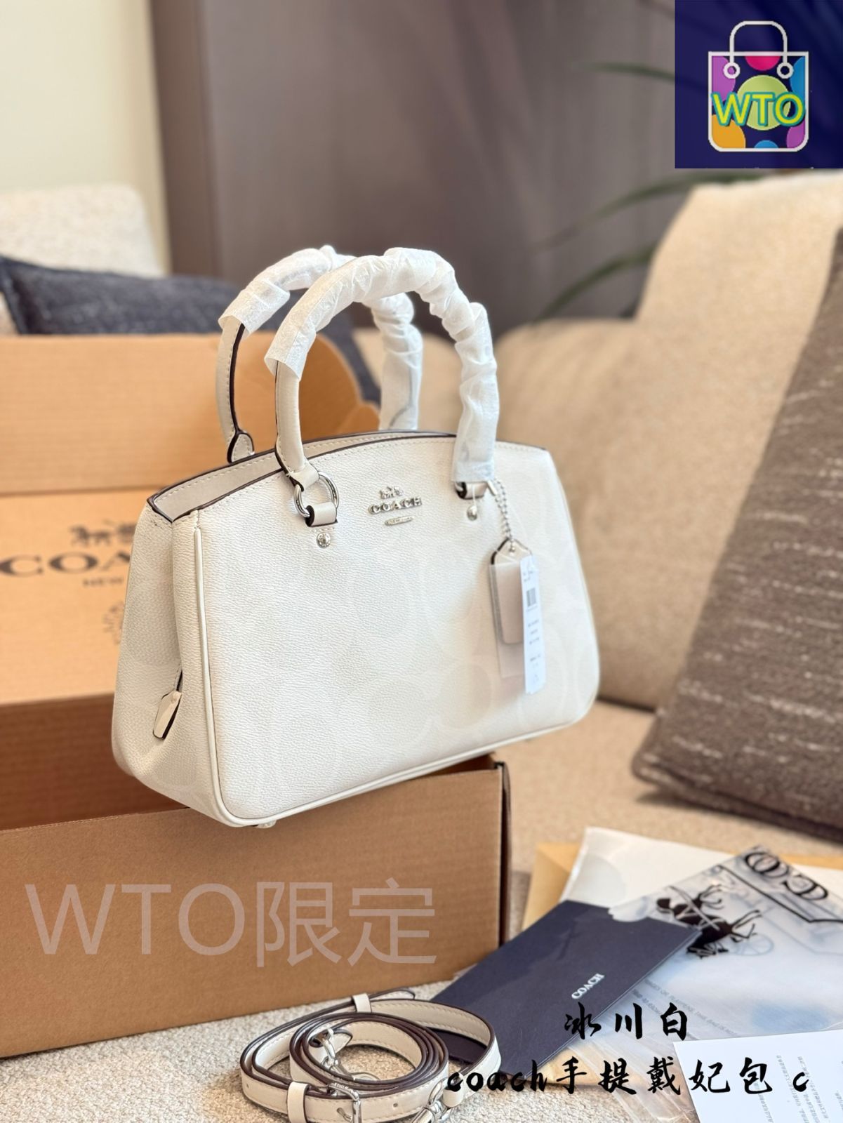 今日 Coach Lady Dior Bag コーチ レディー ディオール バッグ-WTO輸入