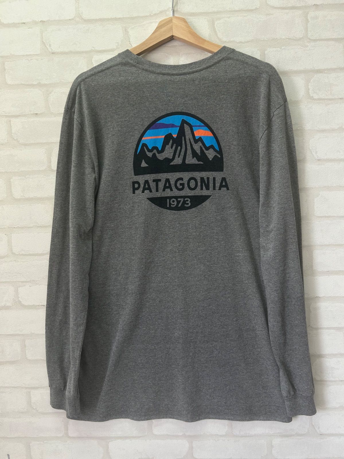 値下げパタゴニア PATAGONIA メンズ Lサイズ 両面 プリント 長袖