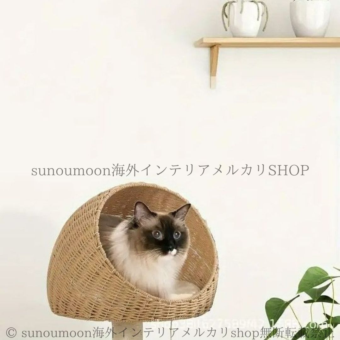 アニマル 動物