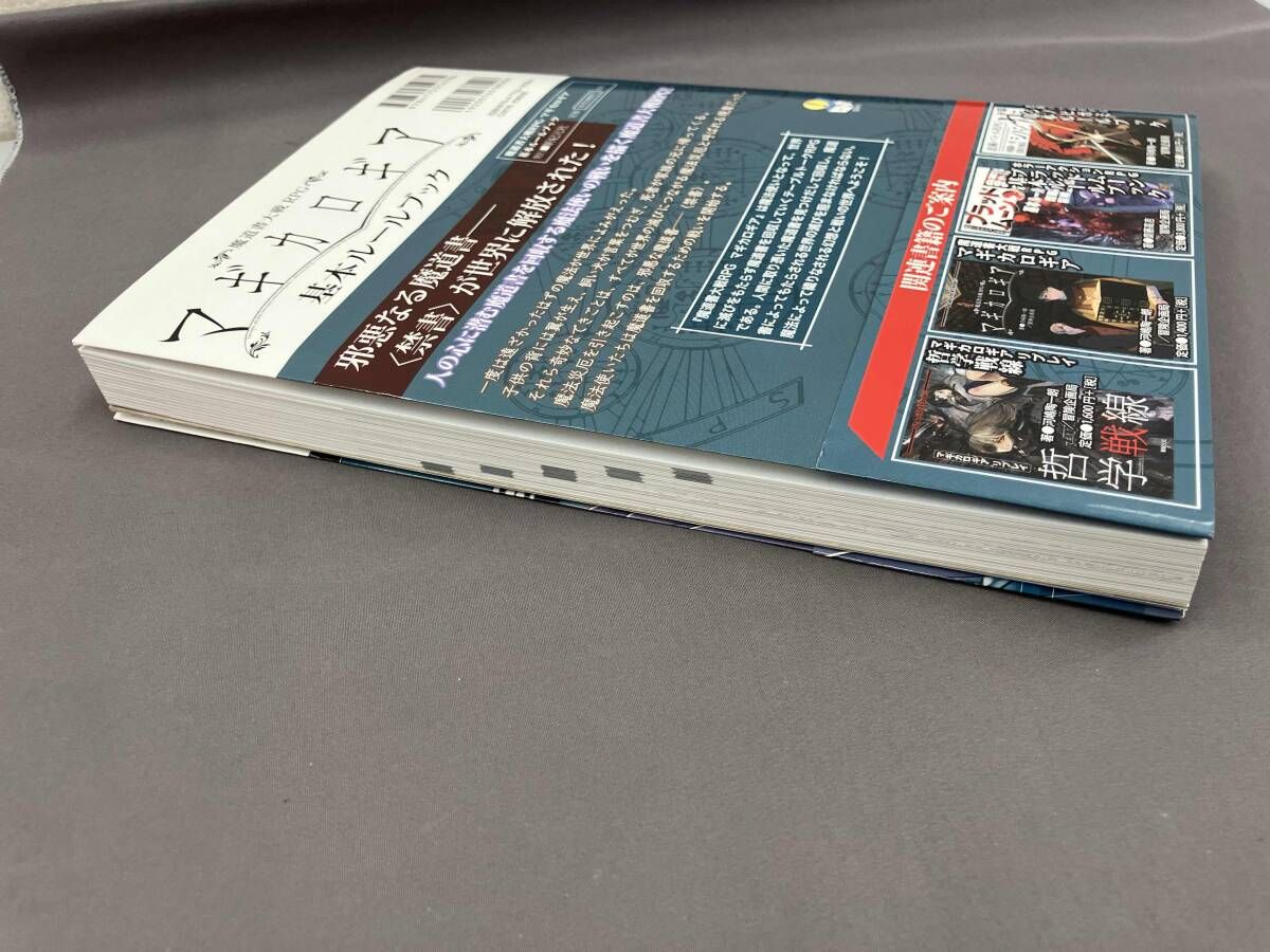 「魔道書大戦RPG マギカロギア 基本ルールブック」

河嶋 陶一朗 魔道書大戦RPGマギカロギア 基本ルールブック - メルカリ