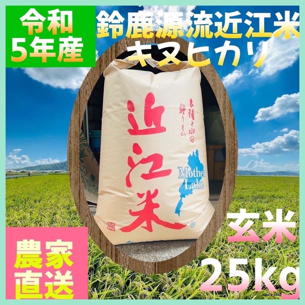 令和3年　玄米25ｷﾛ  キヌヒカリ