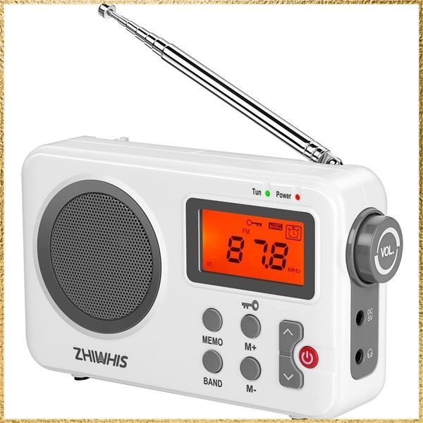 ニシクボサユリ ゴッホ展 ジクレー版画 額装付き ED100