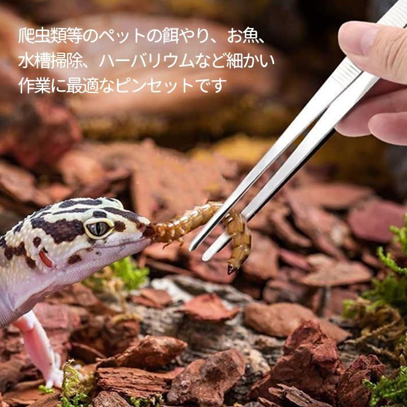 ピンセット3本 えさ 爬虫類 両生類 ブルー 青 - 爬虫類・両生類用品