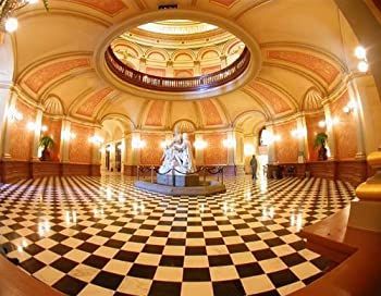 新しい0.35 X高グレード魚眼レンズレンズfor Fujifilm FinePix s9950 W Includesレンズリング