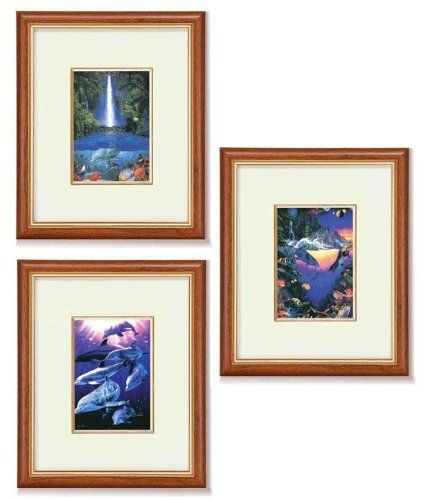 コスモス　絵画　額装 コスモス　絵画　額装