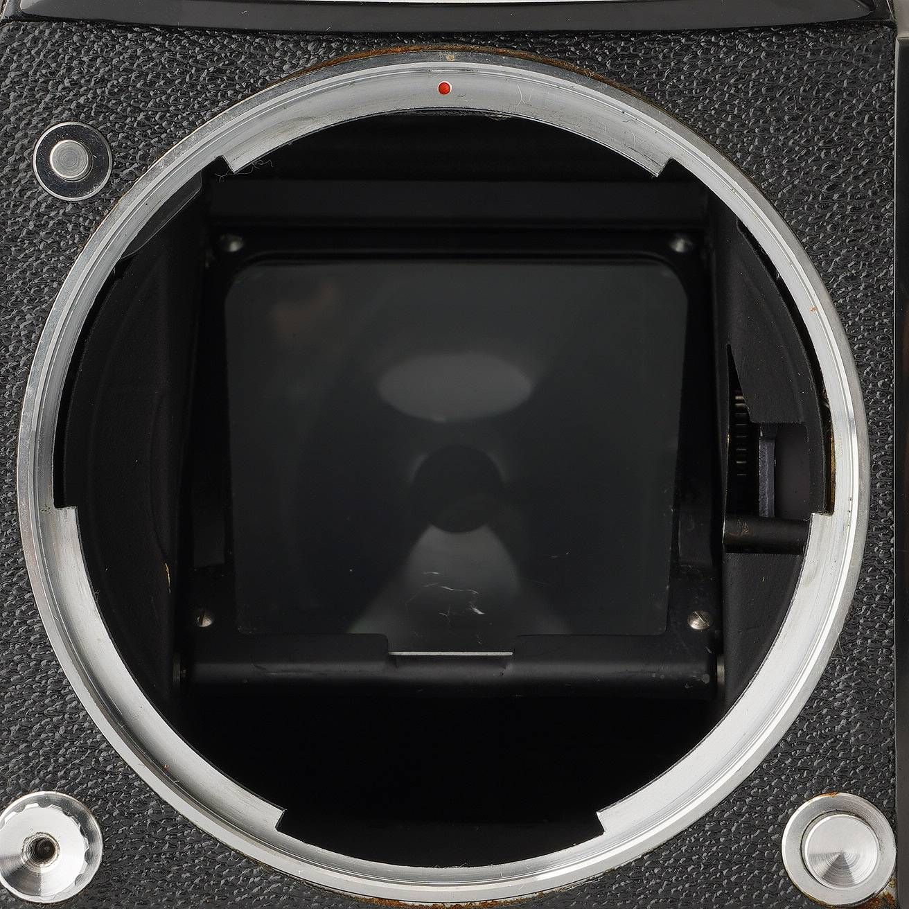 後期 ブラック|