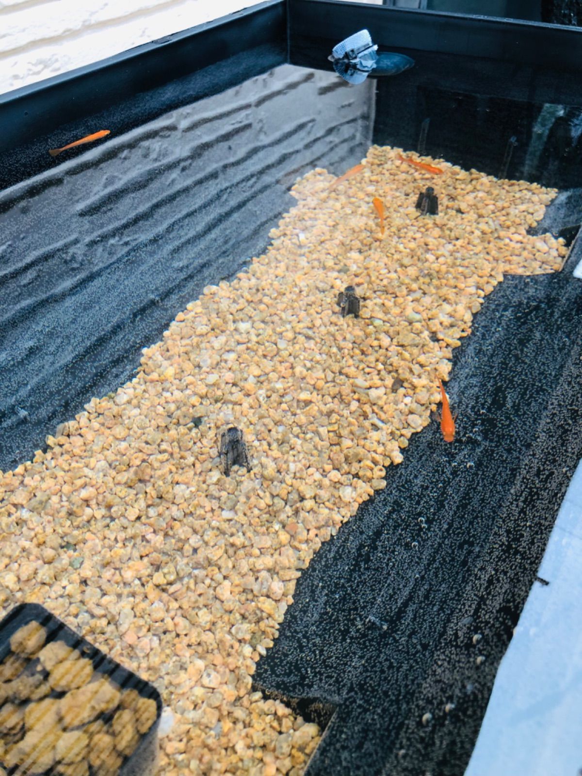 樽型メダカ飼育ケース【大】麦飯石セット - メルカリ
