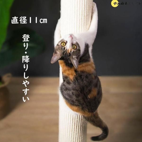 運動不足 安定