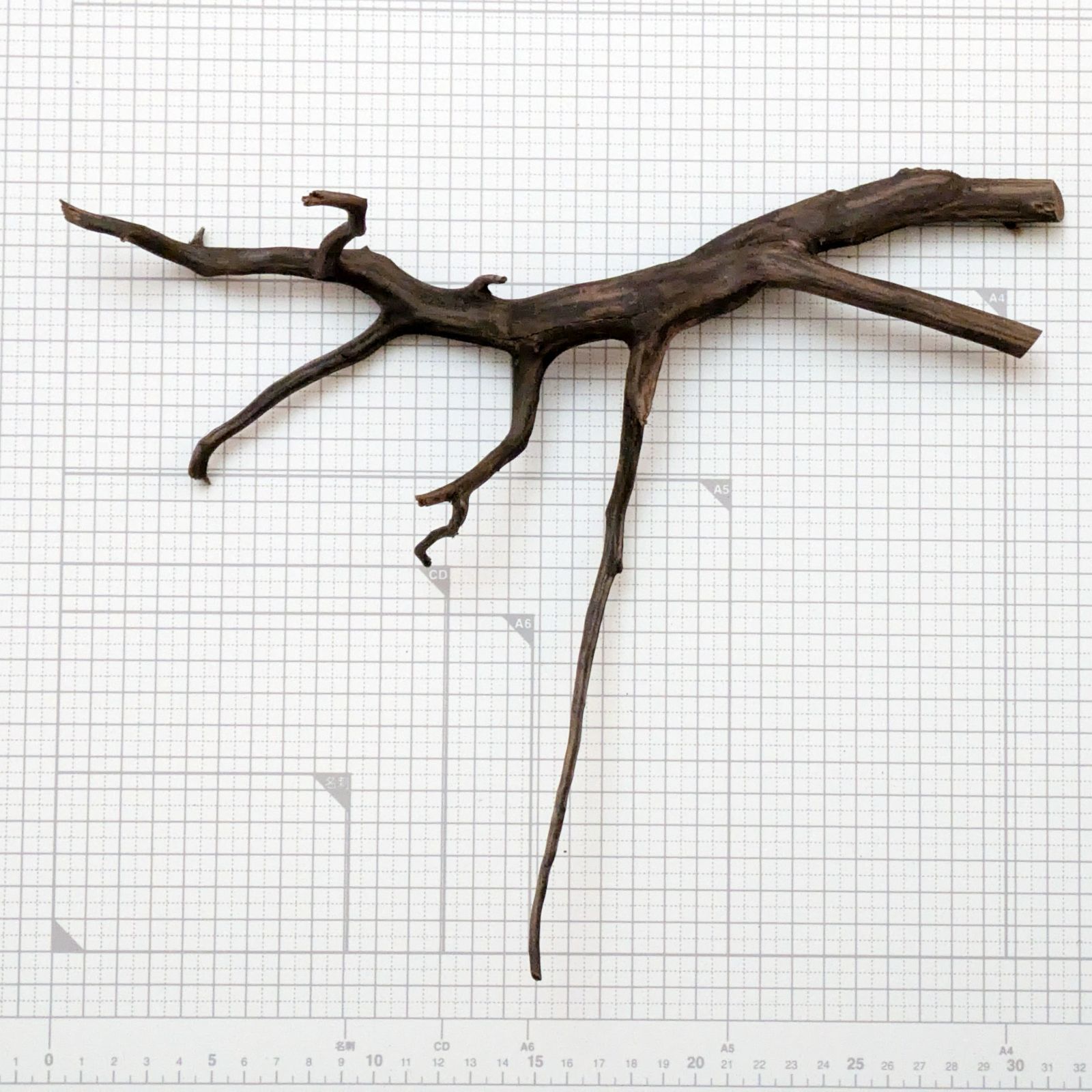 約32x25x8cm ブラックブランチウッドS 複数同時購入で2品目以降50