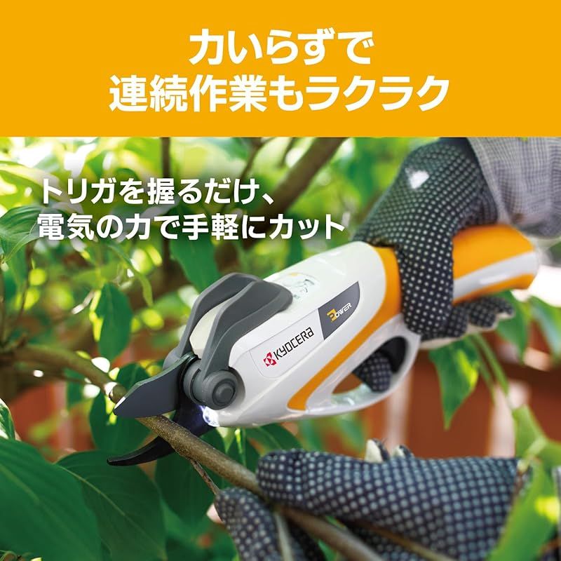 4988670 特別セット品