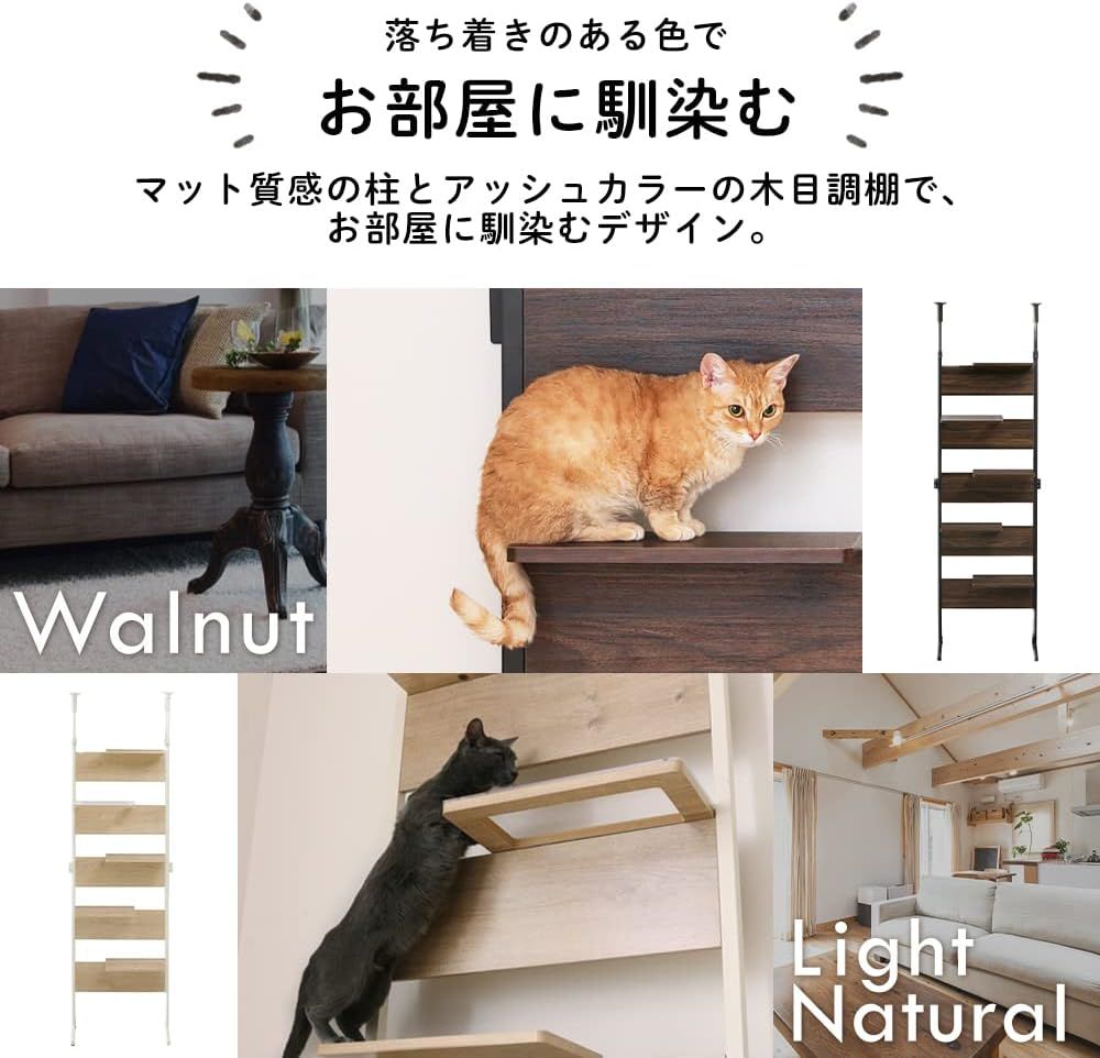 キャットウォーク 省スペース