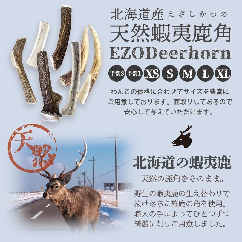 鹿の角　北海道 71md+1W8yBL._UF350,350_QL50_.jpg