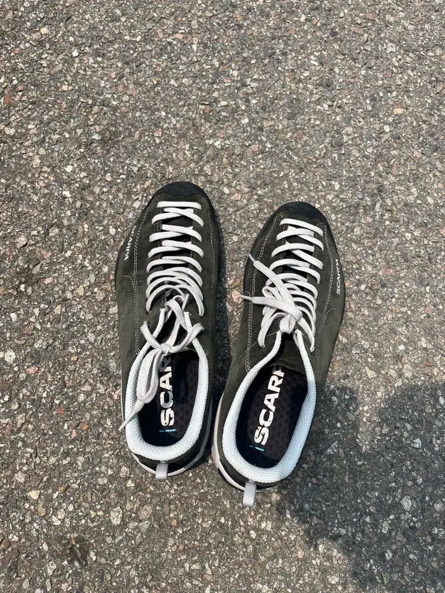 SCARPA スカルパ モヒート グリーン 44