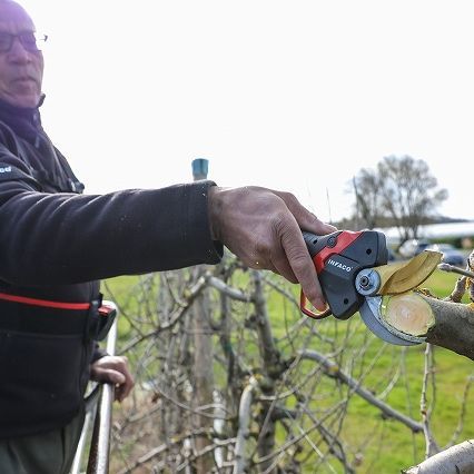 剪定バサミ 剪定鋏